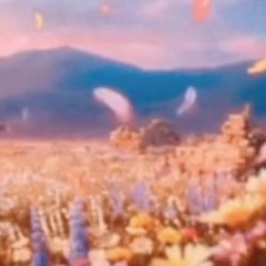 Meet your Posher, Evelyn